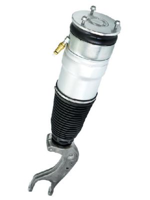 Πίσω αερόσοβαρο Tesla Model S για Dual Motor 2012-2021